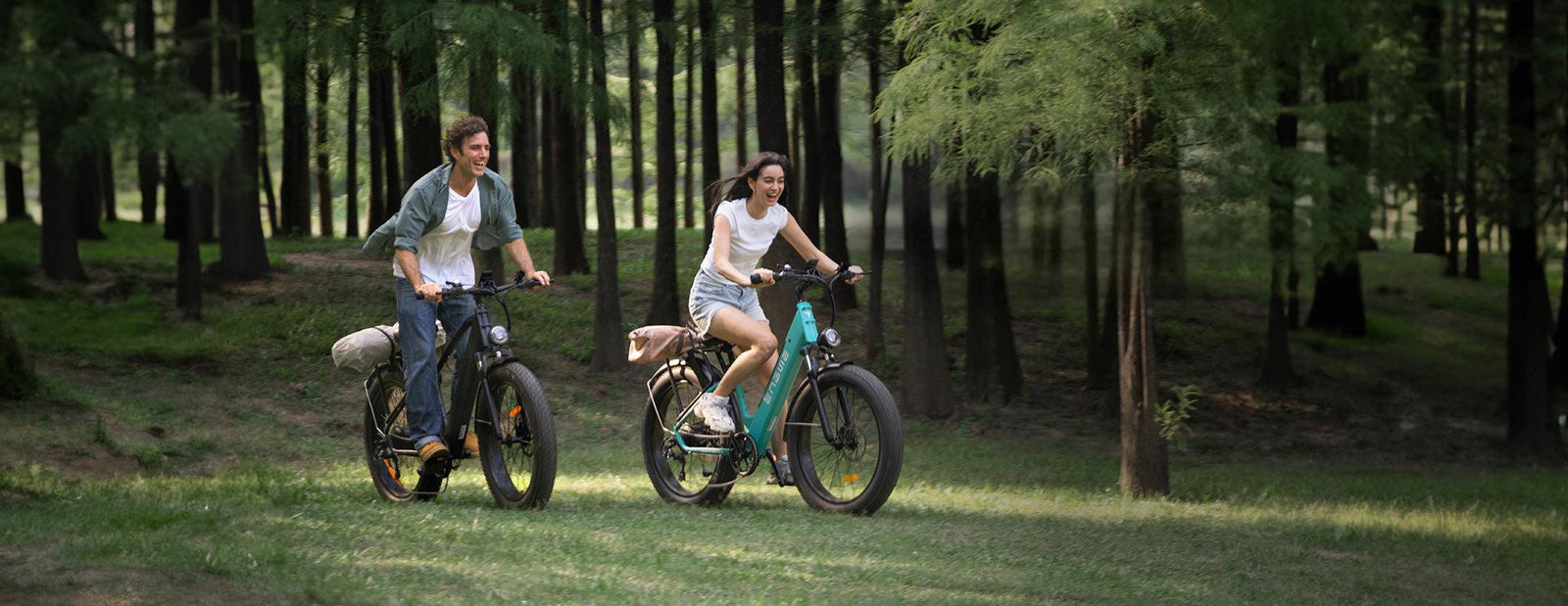 Engwe Electric Bikes: Model Introduction and Recommendations