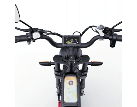 RIDSTAR Q20 Pro Electric Bike Display Settings