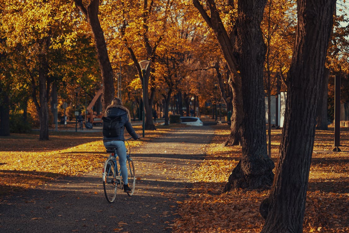 Electric Bike VS Regular Bike