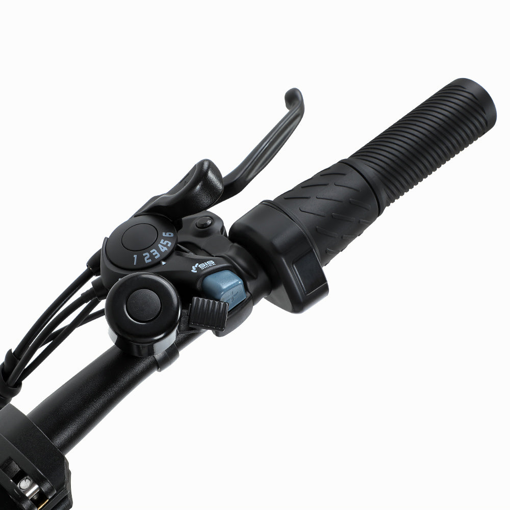 Batterie électrique du moteur 36V 10.4Ah du vélo 500W de banlieue de PVY Z20 Pro 20*2.3"