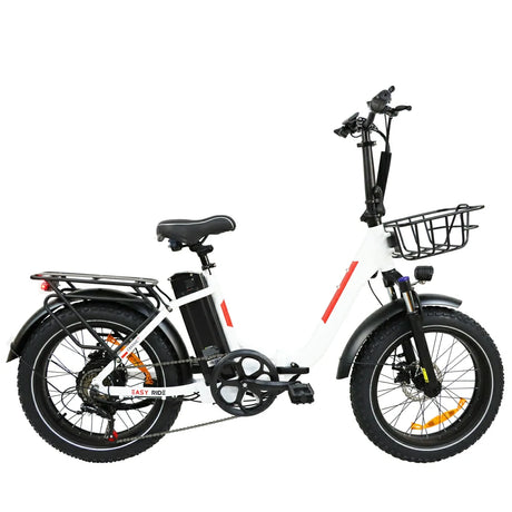 BAOLUJIE DZ-2030 20" Step-Through City Electric Bike 500W Motor 48V 13Ah Battery