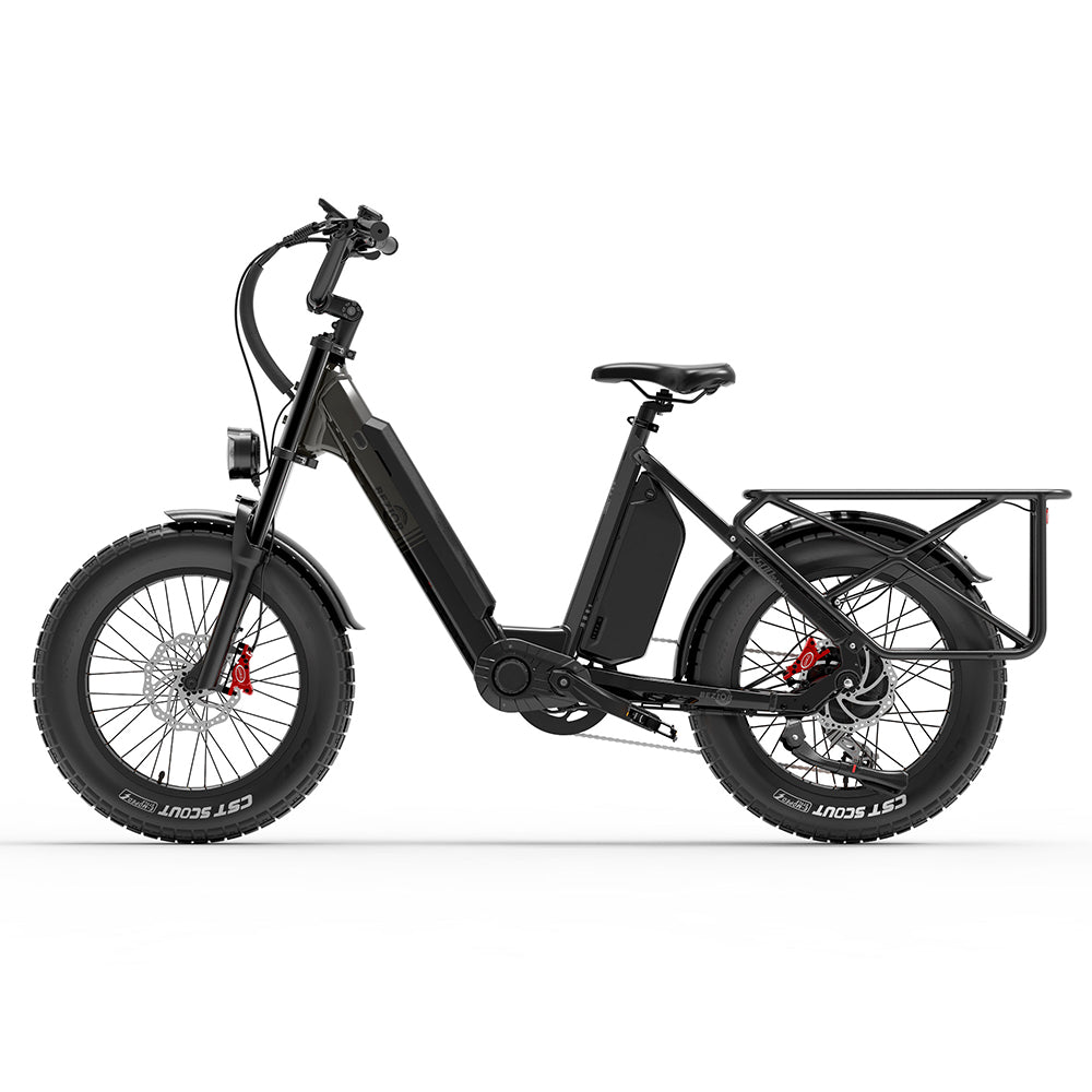 BEZIOR X500MAX 20" Fat Tire Electric Mountain Bike 750W Motor 48V 37.5Ah Battery