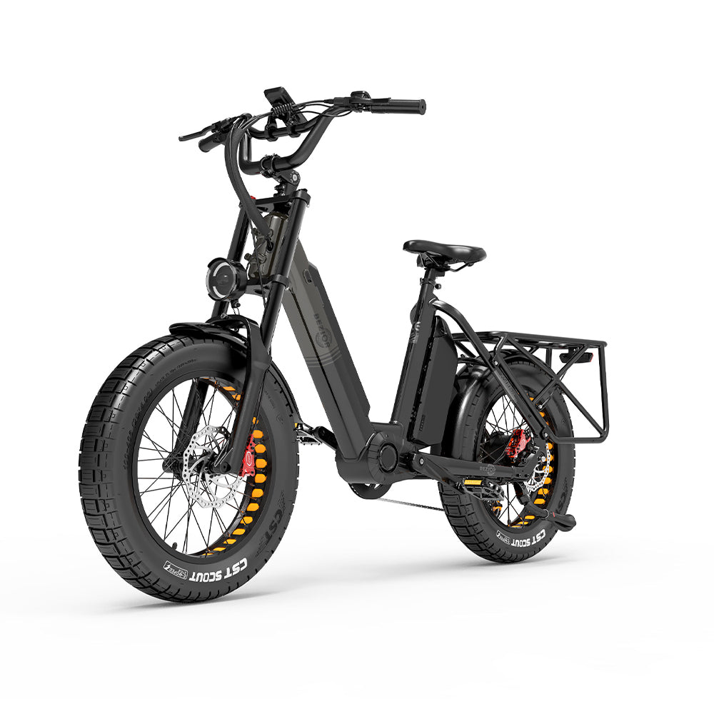 BEZIOR X500MAX 20" Fat Tire Electric Mountain Bike 750W Motor 48V 37.5Ah Battery