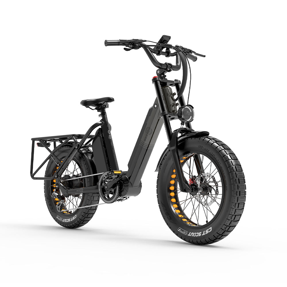 BEZIOR X500MAX 20" Fat Tire Electric Mountain Bike 750W Motor 48V 37.5Ah Battery