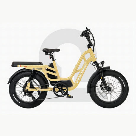 FUCARE Libra 20" Step-Thru Full Suspension Electric Bike 750W Motor 48V 20Ah Battery