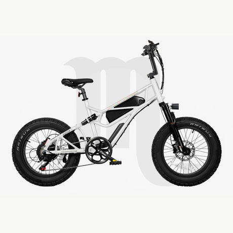 FUCARE Scorpio 20" Fat Tire Off-Road Electric Bike 750W Motor 48V 20Ah Battery