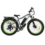 BAOLUJIE DP2619 26 inch mountain electric bike 750W motor 48V 13Ah battery green