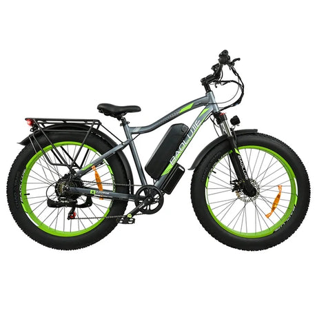 BAOLUJIE DP2619 26 inch mountain electric bike 750W motor 48V 13Ah battery green