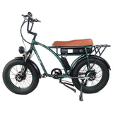 GOGOBEST GF750 Elektrofahrrad 1000 W * 2 Doppelmotoren 48 V