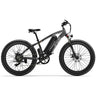 GOGOBEST GF600 26*4,0 Fat Tire Elektrisches Mountainbike 48V 13Ah Batterie 1000W