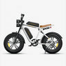 ENGWE M20 20" Fat Tire Off-road Electric Bike 750W Motor 48V 26Ah Dual Battery