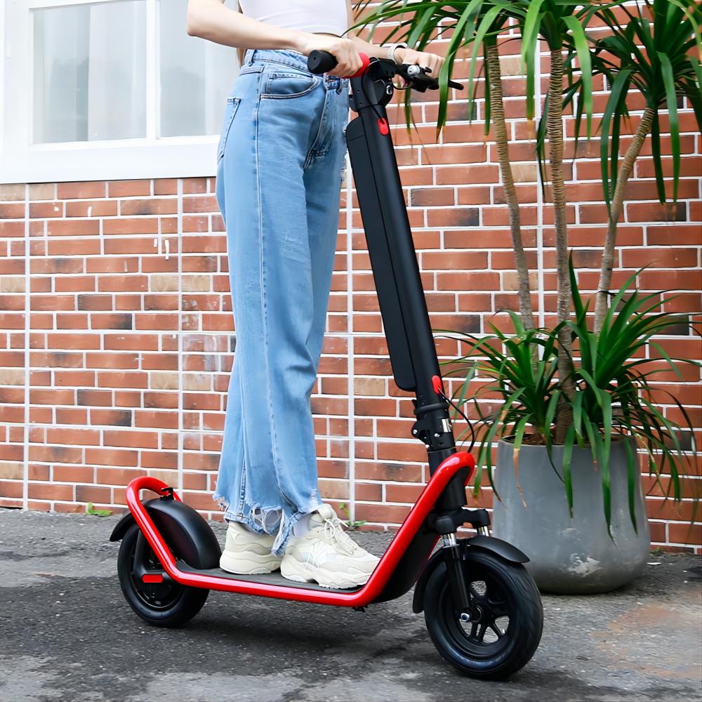 KIXIN X11 10" Folding Electric Scooter 450W Motor 36V 13Ah Battery