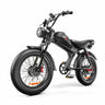 EMOKO C93 20" Fat Tire Electric Off-Road Bike 2*1000W Dual Motor 48V 20Ah Battery