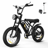 HITWAY BK29M 20" Retro Electric Dirt Bike 750W Motor 48V 15Ah Battery