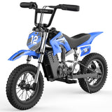 ISINWHEEL A12 12" Electric Dirt Motorbike For Kids 350W Motor 36V 5.2Ah Battery