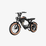 LUCKEEP M5 20" Electric Dirt Motorbike 1000W Motor 48V 15Ah Battery