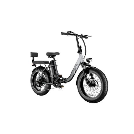 LUCKEEP C23 20" Folding Electric Bike 750W(1200W Peak) Motor 48V 15Ah Battery