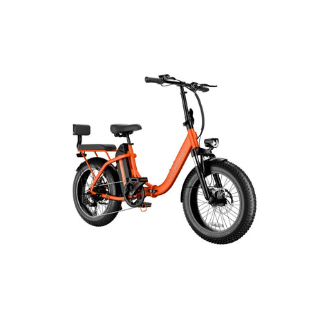 LUCKEEP C23 20" Folding Electric Bike 750W(1200W Peak) Motor 48V 15Ah Battery