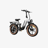 LUCKEEP X3 20" Cargo Electric Bike 750W(1400W Peak) Motor 48V 20Ah Battery