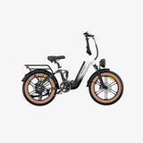 LUCKEEP X3 20" Cargo Electric Bike 750W(1400W Peak) Motor 48V 20Ah Battery