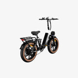 LUCKEEP X3 20" Cargo Electric Bike 750W(1400W Peak) Motor 48V 20Ah Battery