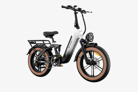 LUCKEEP X3 20" Cargo Electric Bike 750W(1400W Peak) Motor 48V 20Ah Battery