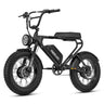 MEELOD DK200DM 20" Retro Moped Style Electric Bike 750W*2 Dual Motors 48V 18Ah Battery