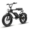 MEELOD DK200 20" Retro Moped Style Electric Bike 750W Motor 48V 13Ah Battery