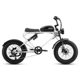 MEELOD DK300 PLUS 20" Retro Moped Style Electric Bike 1200W Peak Motor 48V 20Ah Battery