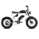 MEELOD DK300 PRO 20" Retro Moped Style Electric Bike 1200W Peak Motor 48V 15Ah Dual Batteries