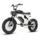 MEELOD DK300 PRO 20" Retro Moped Style Electric Bike 1200W Peak Motor 48V 15Ah Dual Batteries