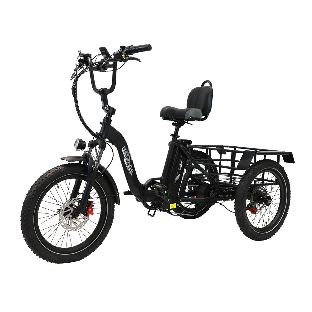 ONESPORT OT30 20" Step-Through Cargo Electric Trike 500W Motor 48V 13Ah Battery