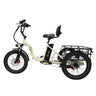 ONESPORT OT30 20" Step-Through Cargo Electric Trike 500W Motor 48V 13Ah Battery