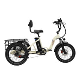 ONESPORT OT30 20" Step-Through Cargo Electric Trike 500W Motor 48V 13Ah Battery