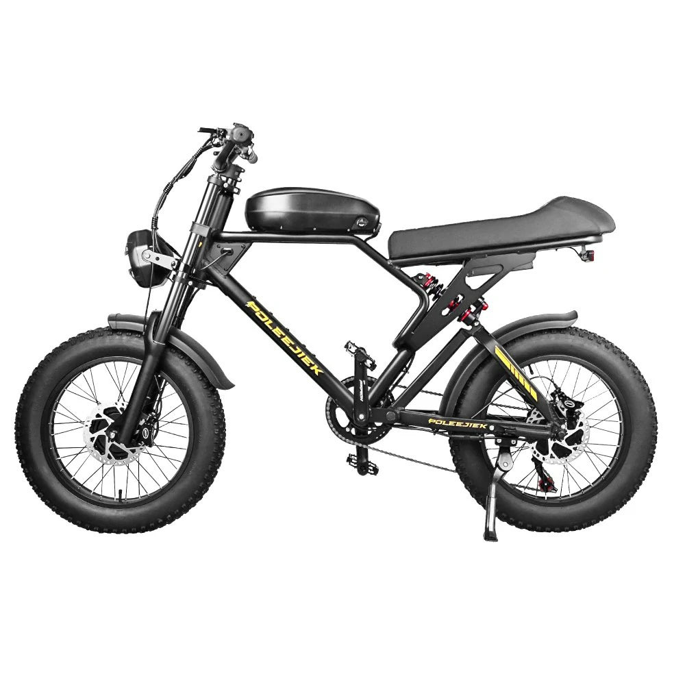 Electric fat bike 3000w online