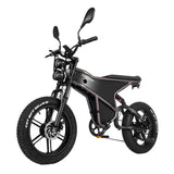 RANDRIDE DM711 20" Retro Fat Tire Electric Bike 500W*2 Dual Motors 48V 20Ah Battery