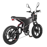 RANDRIDE DM711 20" Retro Fat Tire Electric Bike 500W*2 Dual Motors 48V 20Ah Battery