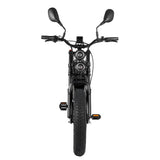 RANDRIDE DM711 20" Retro Fat Tire Electric Bike 500W*2 Dual Motors 48V 20Ah Battery