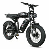 SAMEBIKE Pilot M20-III (SR) 20" Retro Electric Dirt Bike 2000W Dual Motors 48V 36Ah Dual Batteries