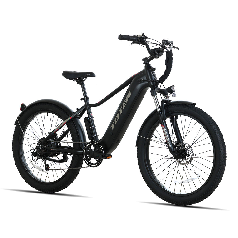 Bici elettrica Totem Ranger Fat Tire Motore con mozzo con ingranaggio 750W Batteria 48V 15Ah