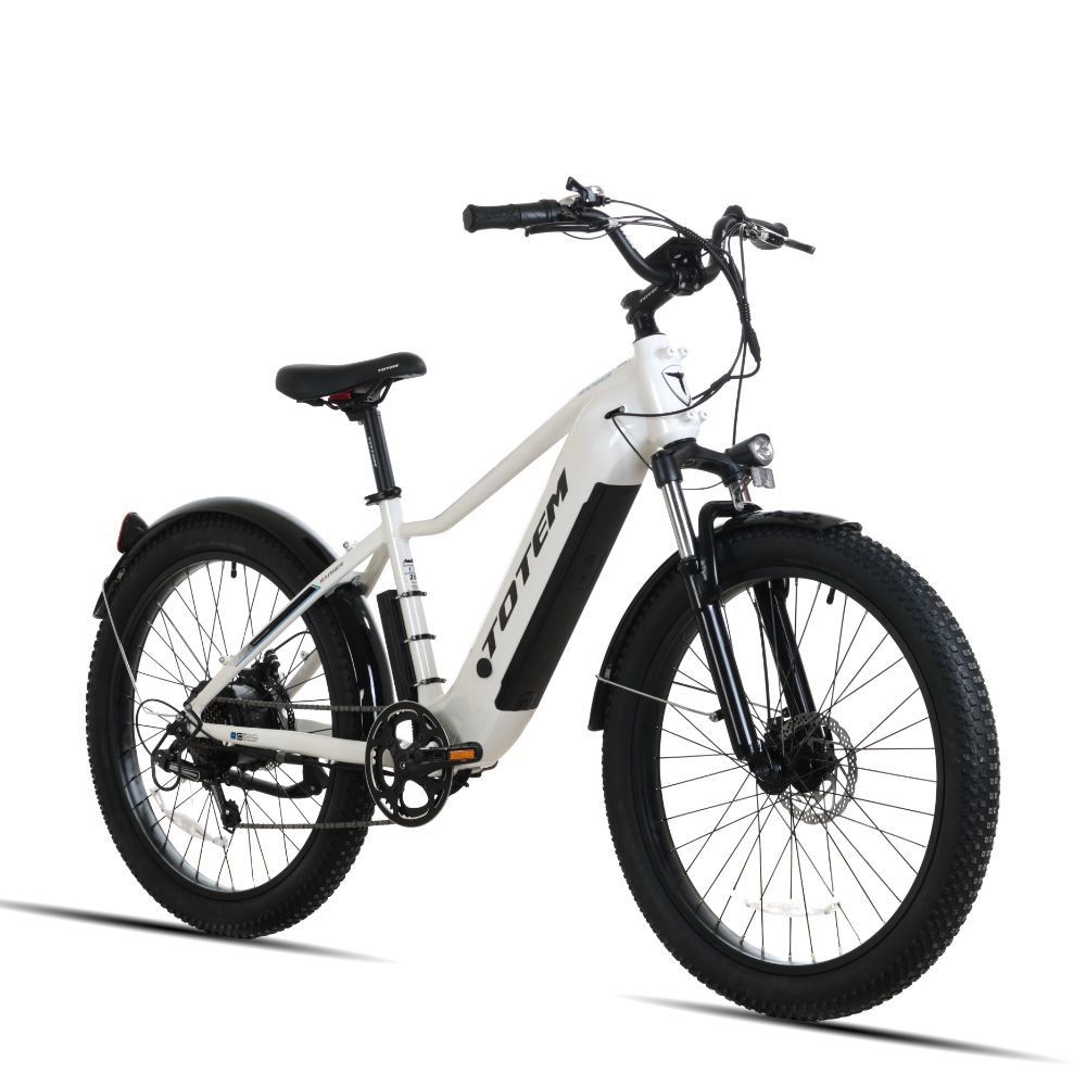 Totem Ranger Fat Tire Elektrofahrrad 750 W Getriebenabenmotor 48 V 15 Ah Batterie