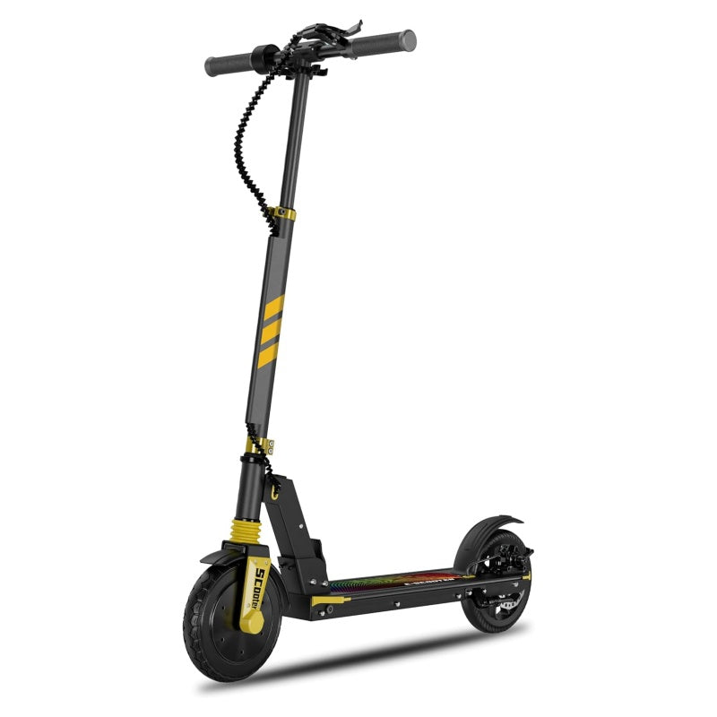 ANNELAWSON E200 8" Folding Electric Scooter 100-180W Motor 24V 5.2Ah Battery