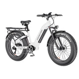 Asomtom E300 26" Fat Tire All-terrain Electric Bike 750W Motor 48V 15Ah Battery