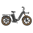 Asomtom MAMMOTH Cargo E-Bike