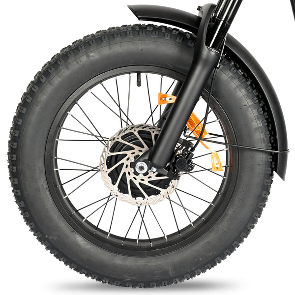 BAOLUJIE BLJB1 gros pneu vélo électrique 2000W double moteurs 48V 20Ah batterie