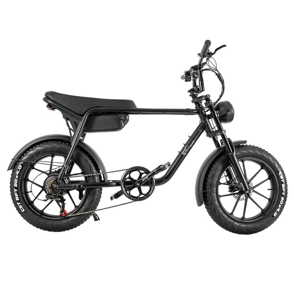 CMACEWHEEL K20 20" Fat Tire Electric Bike 750W Motor 48V 17Ah Battery