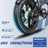 ENGWE EP-2 Pro 20" Fat Tire Folding Electric Bike 250W/750W Motor 48V 13Ah Battery