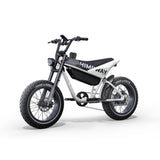 Himiway C5 20" Electric Motorbike 750W Motor 48V 20Ah Battery