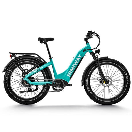 Himiway D5 ST(Zebra ST) 26" Fat Tire All-terrain Electric Bike 750W Motor 48V 20Ah Battery