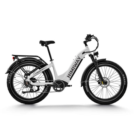 Himiway D5 ST (Zebra ST) 26" Fat Tire All-terrain Electric Bike 750W Motor 48V 20Ah Battery